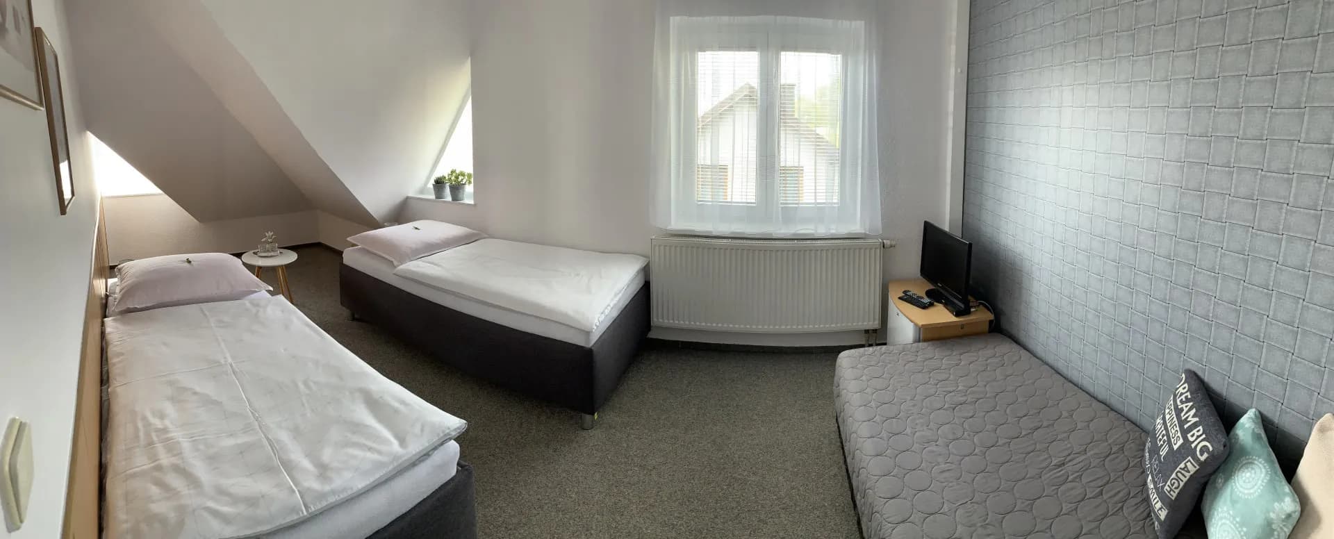 Einzelzimmer mit TV und Kühlschrank – Unterkunft Přimda